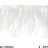 Row of Thin Decorative Feathers 5-18cm