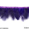 Row of Decorative Feathers 5-8cm