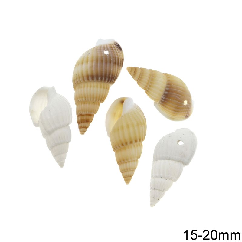 Natural Shell 15-20mm