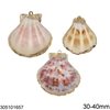 Shell Pendant 30-40mm