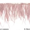 Row of Thin Decorative Feathers 5-18cm