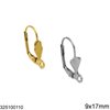 Stainless Steel Leverback Earring 9x17mm with Ring