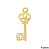 New Year's Lucky Charm Key 45mm