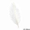 Decorative Feather 15-20cm