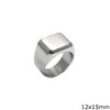 Stainless Steel Male Ring 12x15mm