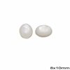 Semi Precious Mop-shell Cabochon Oval Stone 8x10mm