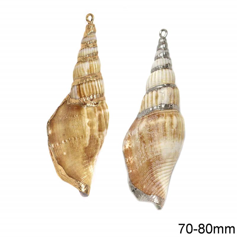 Shell Pendant 70-80mm