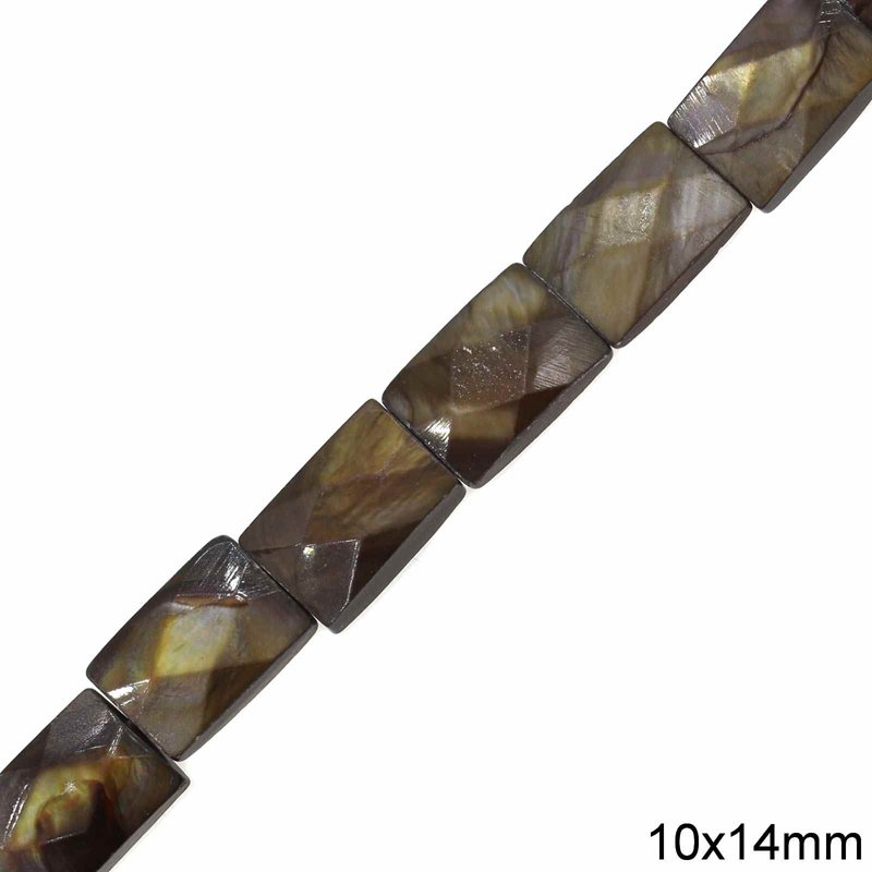 Shell Faceted Beads 10x14mm