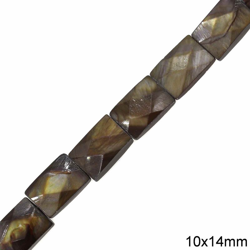 Χάνδρες Κοχύλι Ταγιέ 10x14mm