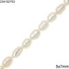 Freshwater Rice Baroque Pearl Beads 5x7mm