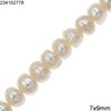 Freshwater Pearl Rondelle Beads 7x9mm