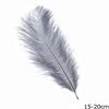 Decorative Feather 15-20cm
