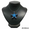 Natural Starfish Pendant with Marcasite 40-50mm