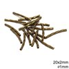 Brass Twisted Curved Tube Bead 20x2mm with 1mm hole