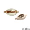 Natural Cowry Shell Spacer 23-28mm