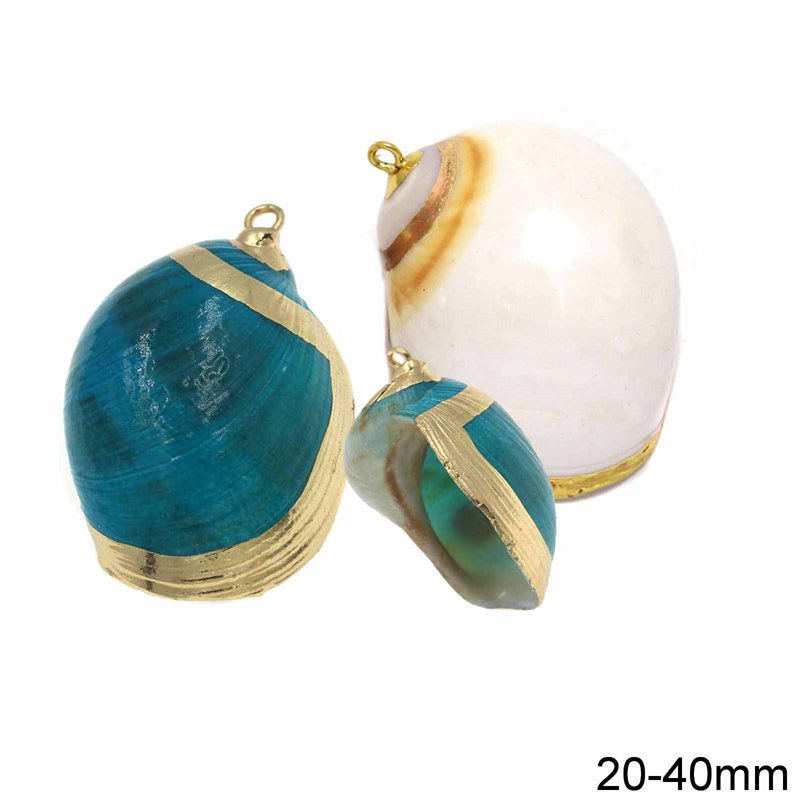 Shell Pendant 20-40mm