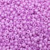 Glass Rocaille Beads 6/0 (4.1mm)