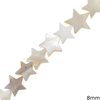 Mop-shell Flat Star Beads 8mm