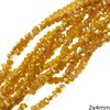 Crystal Beads in Bone Shape 2x4mm