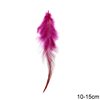 Decorative Two-Tone Feathers 10-15cm