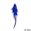 Decorative Two-Tone Feathers 10-15cm