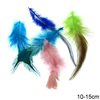 Decorative Two-Tone Feathers 10-15cm