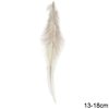 Φτερά 13-18cm