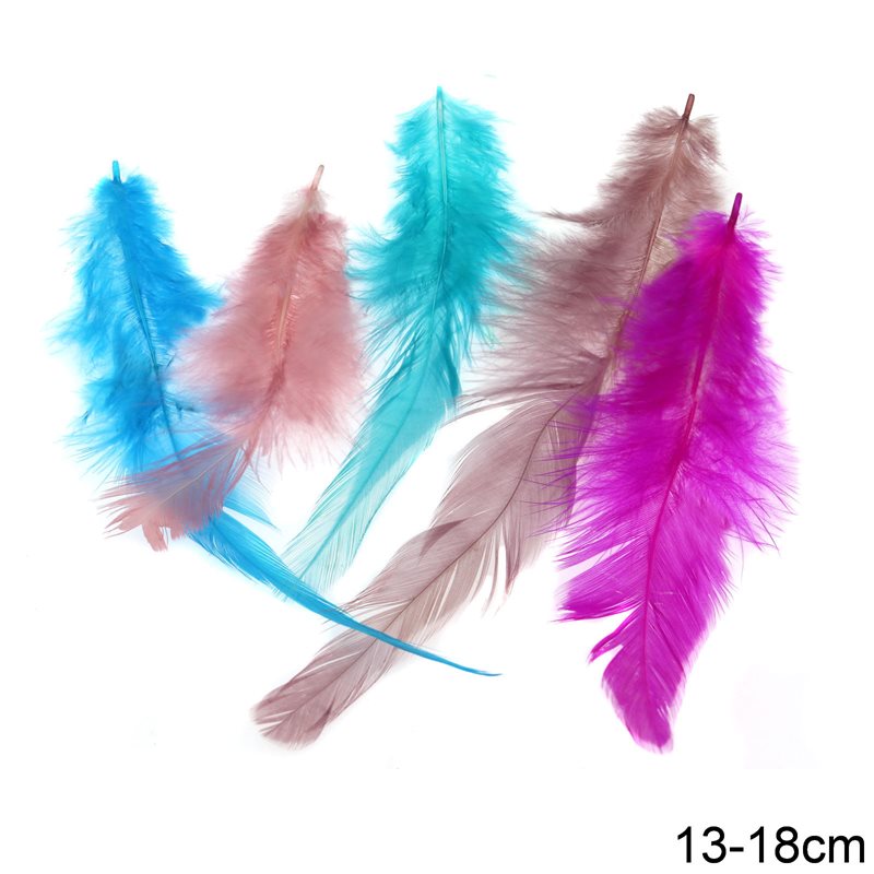 Decorative Feathers 13-18cm