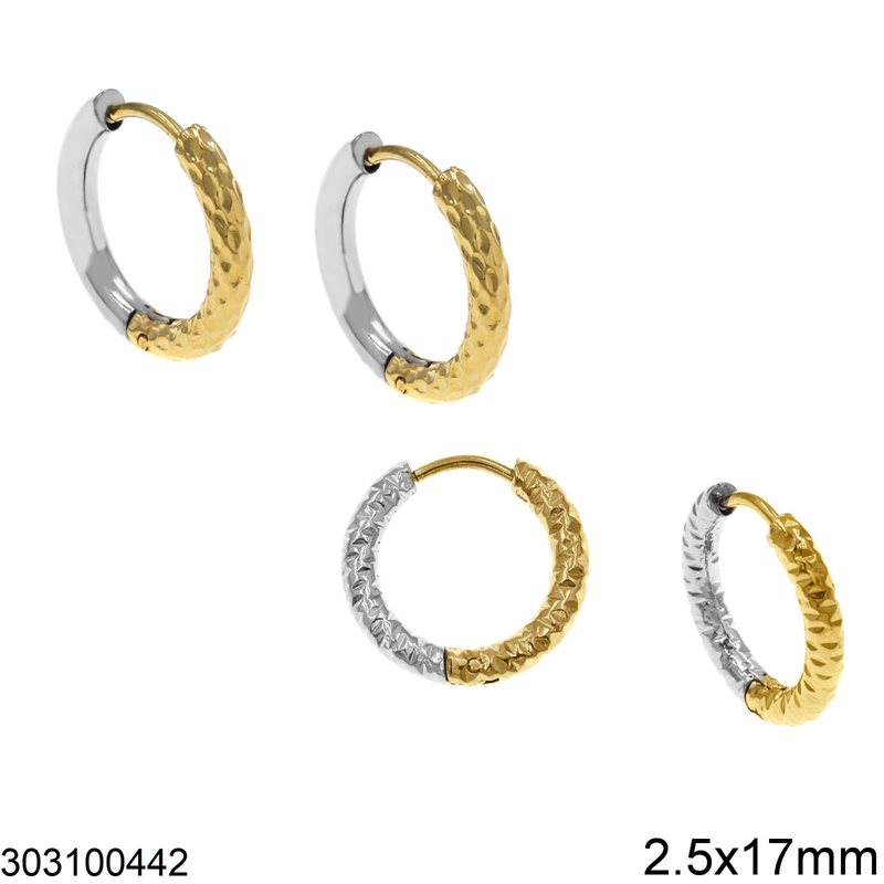 Stainless Steel Hoop Earrings 2.5x5-25mm