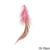 Decorative Two-Tone Feathers 10-15cm