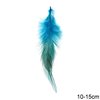 Φτερά Δίχρωμα 10-15cm