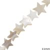Mop-shell Flat Star Beads 11mm
