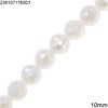 Round Crystal Faceted Bead 10mm