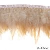 Row of Decorative Feathers 5-13cm