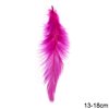 Decorative Feathers 13-18cm