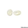 Semi Precious Mop-shell Cabochon Oval Stone 10x14mm