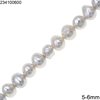 Freshwater Pearl Beads Pearl Coated 5-6mm