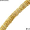 Shell Disk Beads 6mm