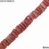 Shell Disk Beads 6mm