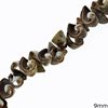 Shell Twisted Beads 9mm