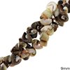 Shell Twisted Beads 9mm