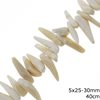 Coral Tooth Beads 5x25-30mm 40cm