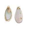 Shell Pendant 35-45mm