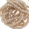 Faceted Rondelle Crystal Beads 2x3mm