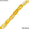 Shell Parallelogram Beads 10x14mm