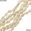 White Shell Bead 10mm