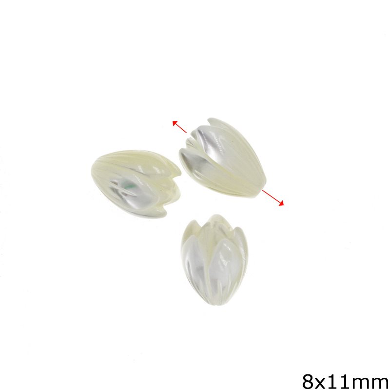 Mop-shell Tulip Beads 8x11mm